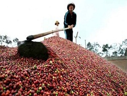 Giải pháp nào để xuất khẩu thành công và bền vững?