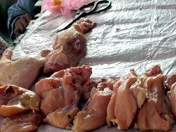 Khóc vì giá gà công nghiệp chỉ còn 18.000 đồng/kg