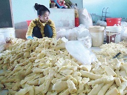 Phát hiện hơn 30 tấn măng tươi ngâm hóa chất