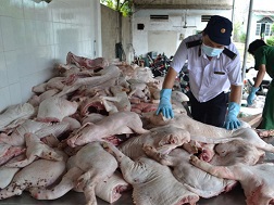 Bắt giữ xe chử thịt heo bệnh chuyển vào TP.HCM