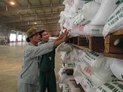 Hai bộ hay một bộ?