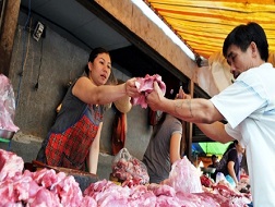 Kiếm siêu lợi nhuận nhờ dịch bệnh tai xanh