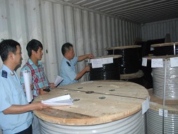 Bất cập trong xử lí hàng vi phạm bị tịch thu