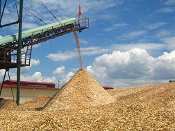 Hàng XK chế biến từ nguyên liệu NK không phải nộp thuế