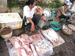 Quản lý thị trường thực phẩm: Giải pháp nào? (Kỳ 1)