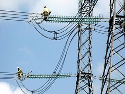 "Huyết mạch" quốc gia sao dễ... tổn thương?