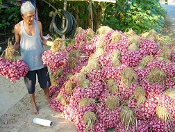 Mất tiền tỉ vì bị động