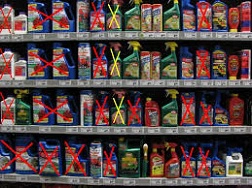 Châu Âu ban lệnh cấm, Châu Á vẫn...bán chạy