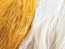 Chưa phát hiện độc chất trong miến dong