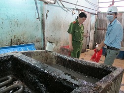 Lạnh người với công nghệ &ldquo;làm sạch&rdquo; tai heo