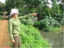 Chị Đàm Thị Hòa bên hồ cá bị phân bò trôi bồi lấp.