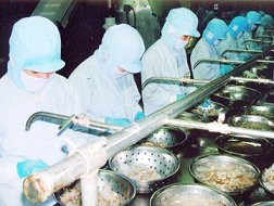 Vụ kiện chống trợ cấp tôm: Chính phủ, DN cần chung sức