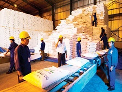 Tồn kho trên 566 nghìn tấn đường