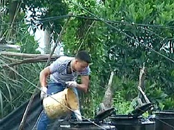 "Rút ruột" xăng dầu tại Hạ Long (Ảnh chụp từ clip trên internet).