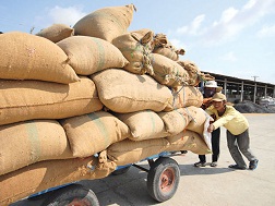 Doanh nghiệp bán lỗ, nông dân khó có mức lãi 30%