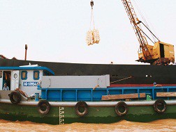 Gạo xuất khẩu đang bị ép giá