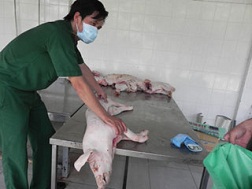 Liên tiếp phát hiện nhiều lô hàng thịt thối 