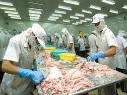 Xuất khẩu thủy sản cần ứng cứu gấp!