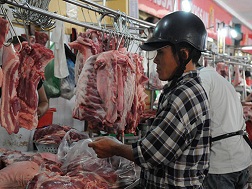 Dù người chăn nuôi đang bị lỗ nặng do giá heo hơi thấp nhưng giá thịt heo ở các chợ vẫn cao ngất 