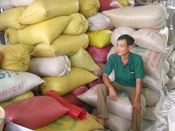 Nhiều nông dân đang chờ giá lúa lên mới bán