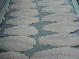 Xuất khẩu cá tra ngày càng giảm