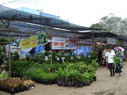 Lễ hội trái ngon ở Bến Tre, nhiều cơ sở không dám ký hợp đồng với số lượng lớn vì nguồn cung cấp giống khan hiếm