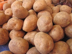 Đến khoai tây Đà Lạt cũng không tin!