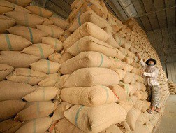 Áp lực kho chứa đè nặng lên vai các doanh nghiệp