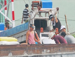 Thu mua gạo ở Cần Thơ