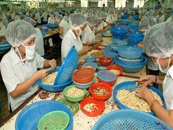 Xuất khẩu nông sản giảm cả về giá và khối lượng