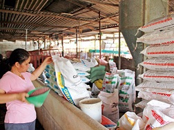 Giá thức ăn chăn nuôi tăng, giá thịt giảm