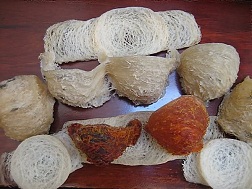 Yến sào nước ngoài “đội lốt” Việt Nam, người nuôi yến thiệt