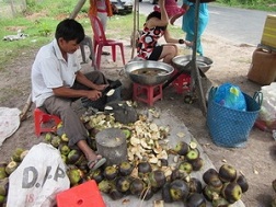 Quả thốt nốt dùng để làm đường.