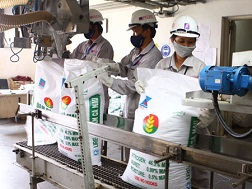 Đóng gói sản phẩm thức ăn chăn nuôi tại nhà máy.