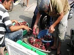 Cua biển siêu rẻ (nguồn internet)