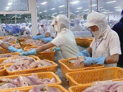 Xuất khẩu thủy sản: Nửa chặng đường chông gai