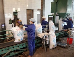 Đề xuất ưu đãi xuất khẩu để "cứu" ngành mía đường 