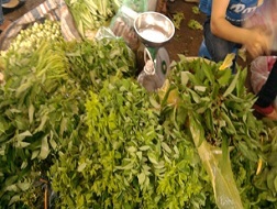 Rất khó phân biệt đâu là rau sạch, rau nhiễm thuốc bảo vệ thực vật.