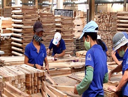 Nhiều thị trường xuất khẩu gỗ có dấu hiệu phục hồi