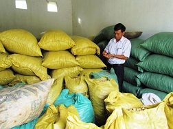 25 tấn lạc HTX Nông nghiệp Thạch Châu thu mua cho dân vẫn phải xếp kho vì chưa có thị trường tiêu thụ.