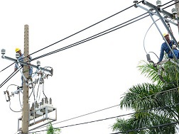 Kéo lưới điện hạ thế trên đường Âu Cơ, TP HCM.