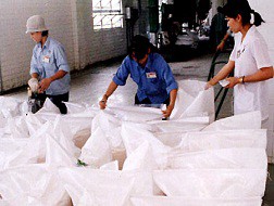 Niên vụ 2012/2013: Sản xuất trên 1,5 triệu tấn đường