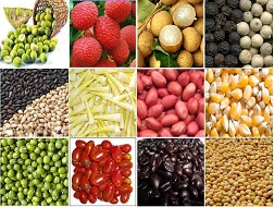 Mỹ thắt chặt quy định nhập nông sản