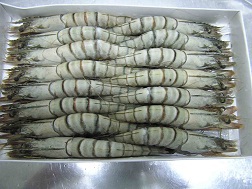 Giá tôm xuất khẩu tăng cao hơn dự đoán