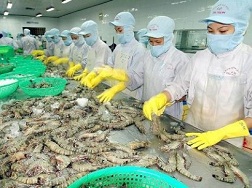 Cẩn trọng với thông tin Thái Lan nhập khẩu tôm Việt Nam