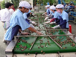 Giao dịch nhân điều sôi động