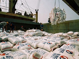 Nhiều hợp đồng xuất khẩu gạo bị hủy