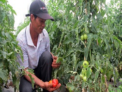 Thực phẩm sạch lên ngôi
