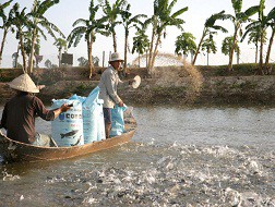 Sẽ tăng 30% phí trong lĩnh vực thủy sản