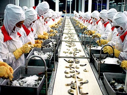 Vasep phản đối kết quả vụ kiện chống trợ cấp đối với tôm đông lạnh VN tại Mỹ
